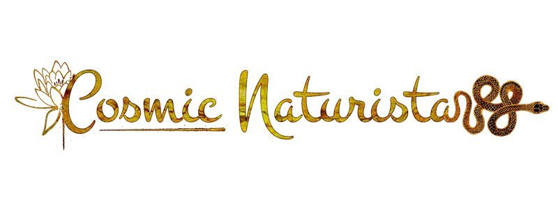 cosmicnaturista-logo.jpg